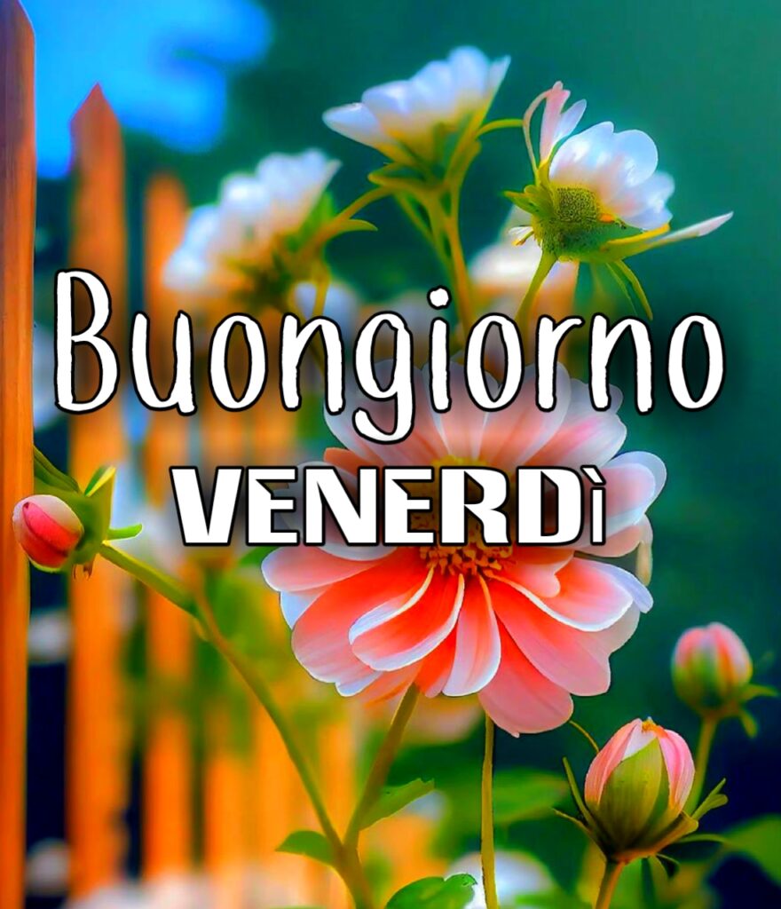 Buongiorno Buon Venerdì Immagini