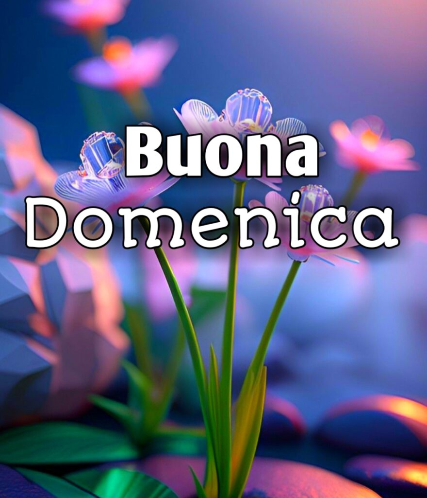 Buongiorno Buona Domenica Gif