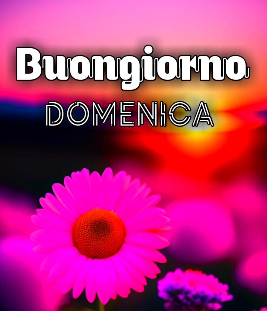 Buongiorno Buona Domenica Immagini Nuove 2024