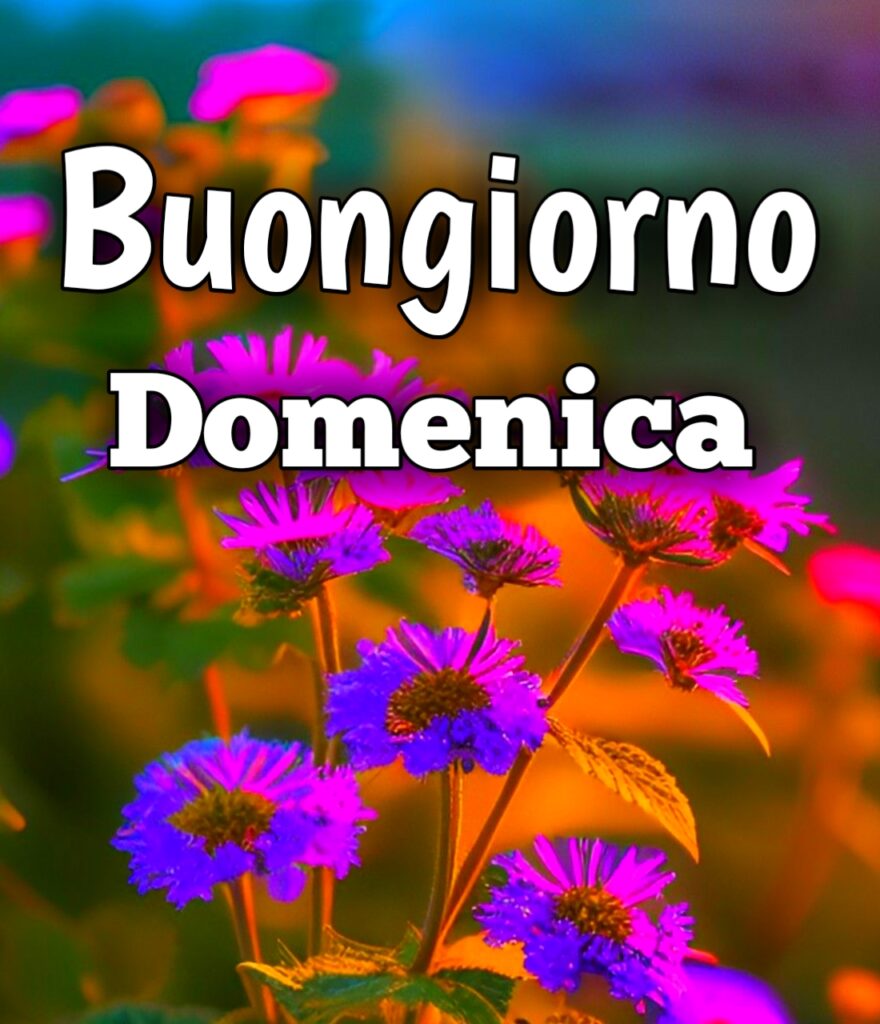 Buongiorno Buona Domenica Immagini Nuove