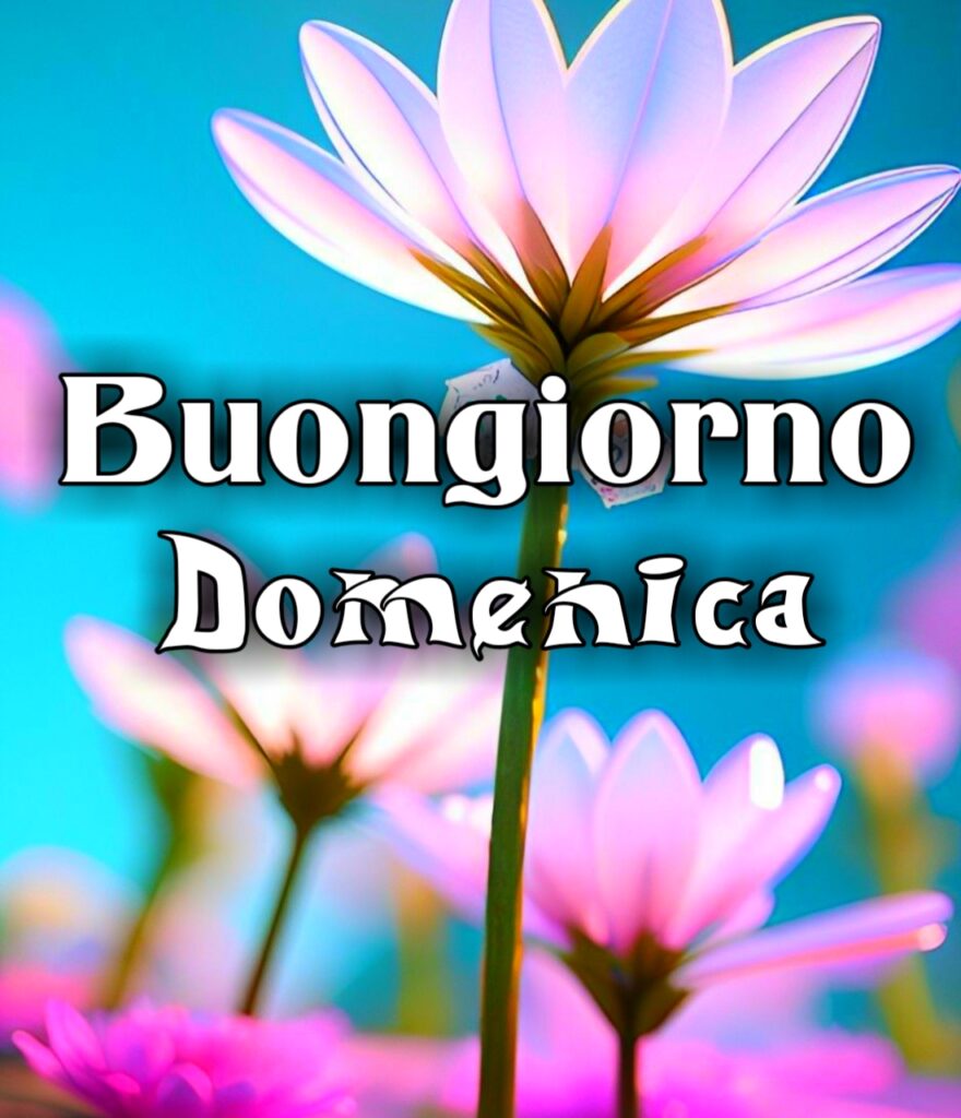 Buongiorno Buona Domenica Invernale