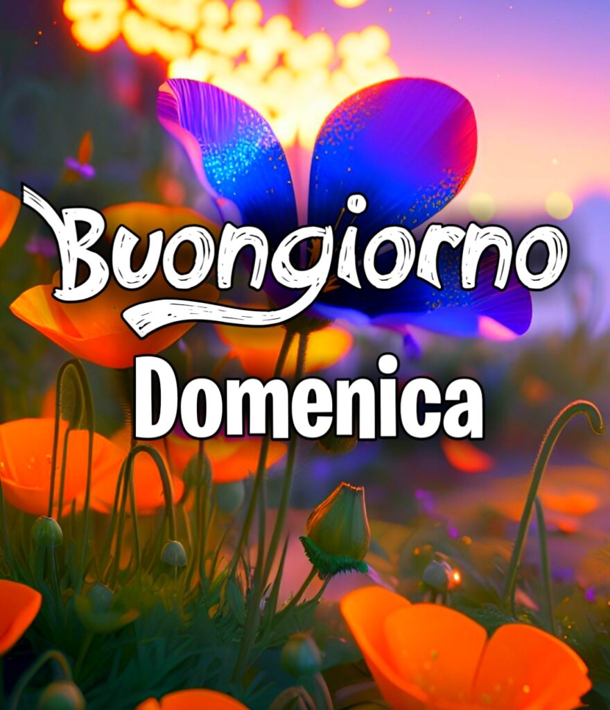 Buongiorno Buona Domenica Invernale Immagini Nuove