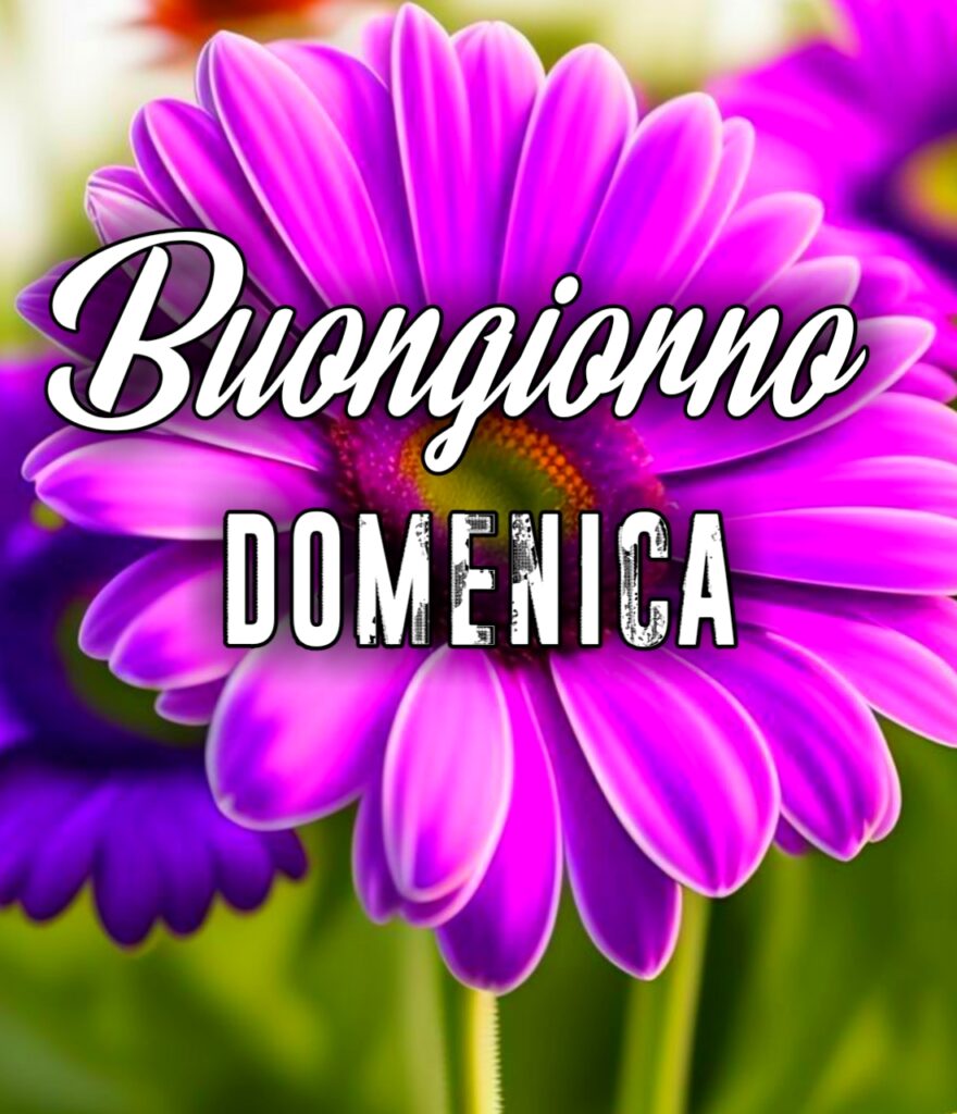 Buongiorno Domenica Immagini Nuove