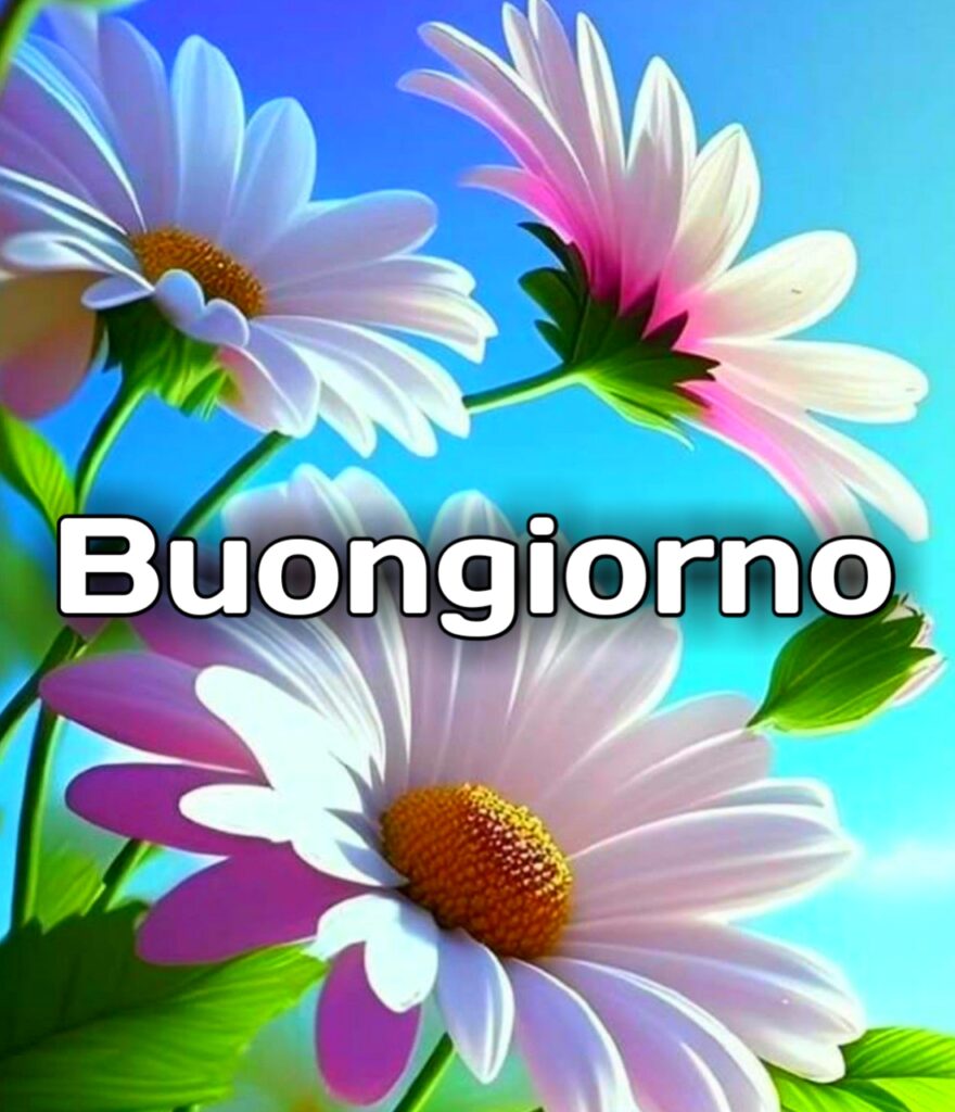 Buongiorno E Buon Lunedì Immagini Nuove Gratis