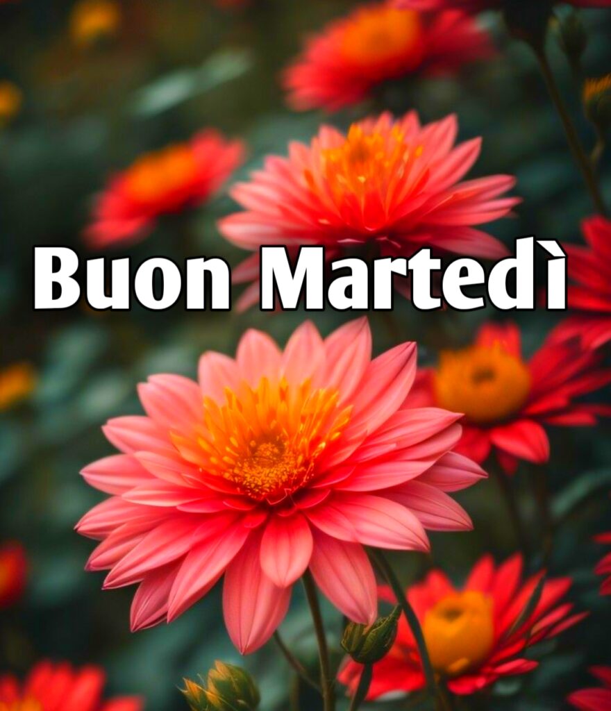 Buongiorno E Buon Martedì