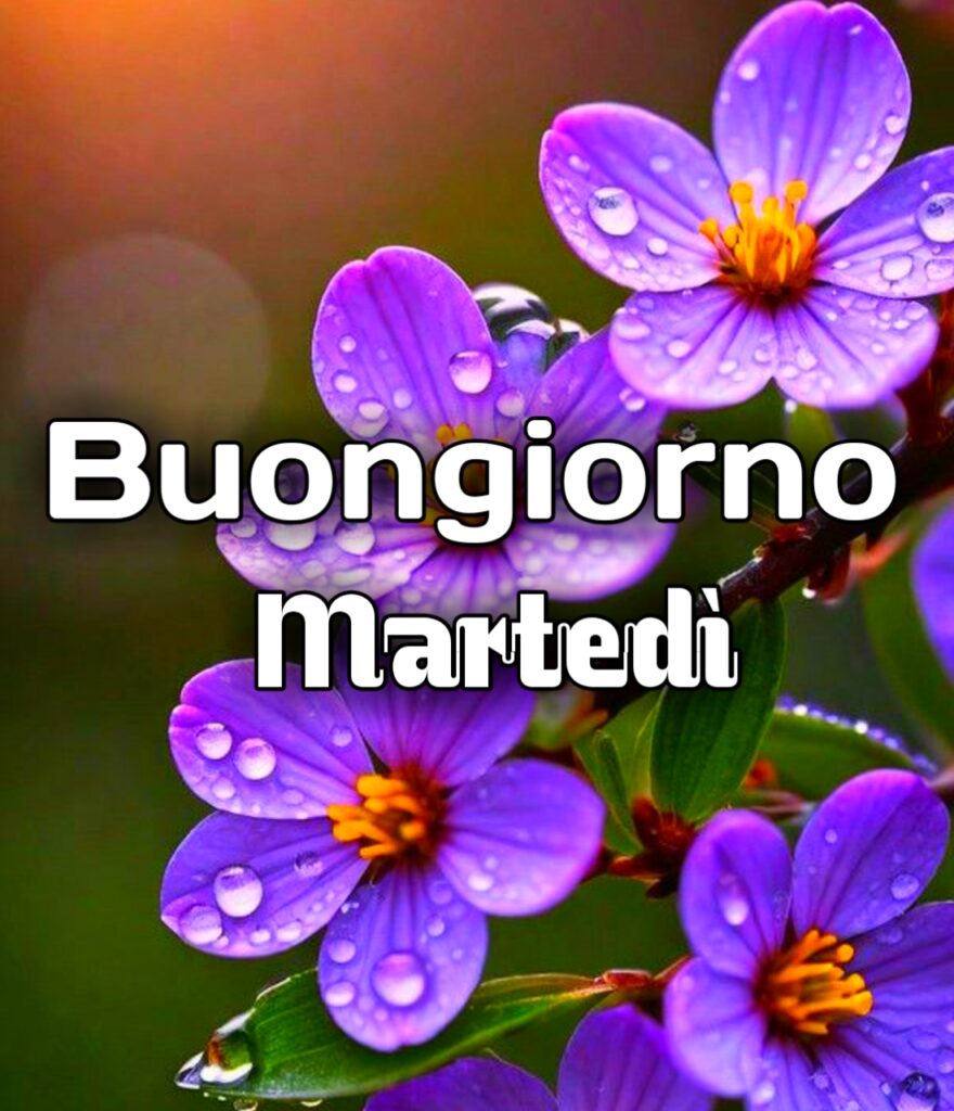 Buongiorno E Buon Martedì