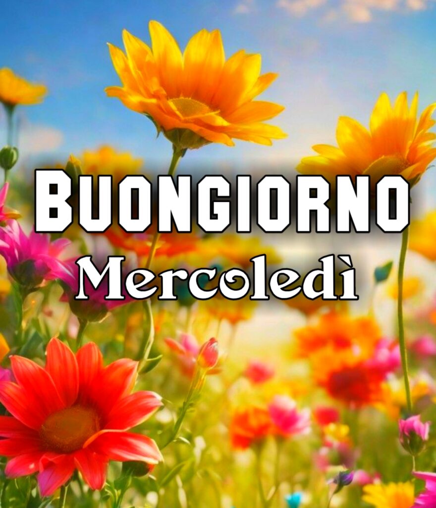 Buongiorno E Buon Mercoledì