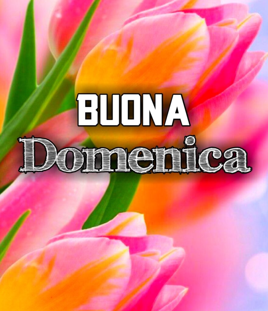 Buongiorno E Buona Domenica Gif