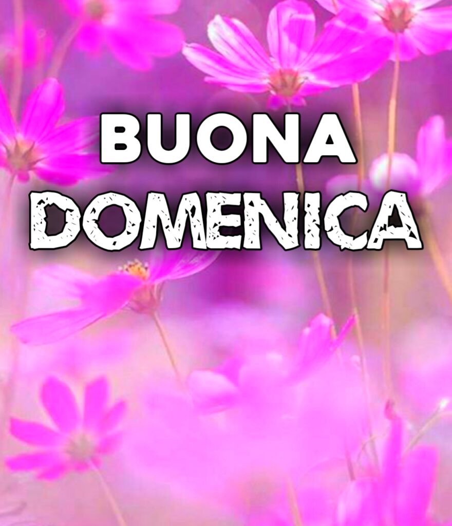 Buongiorno E Buona Domenica Immagini Nuove