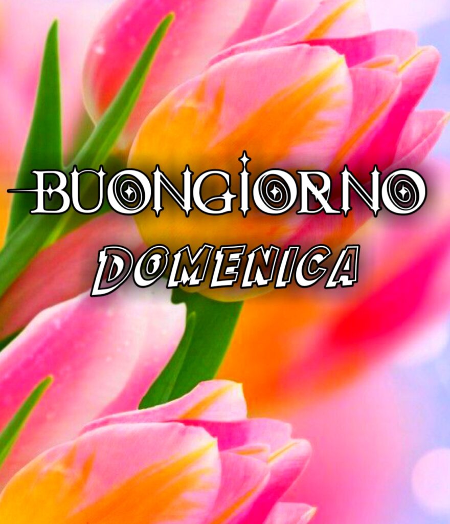 Buongiorno E Buona Domenica Immagini Nuove