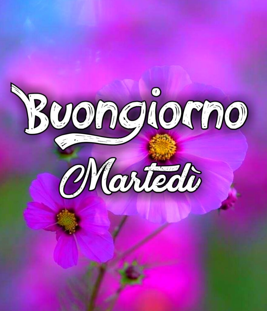 Buongiorno Felice Martedì