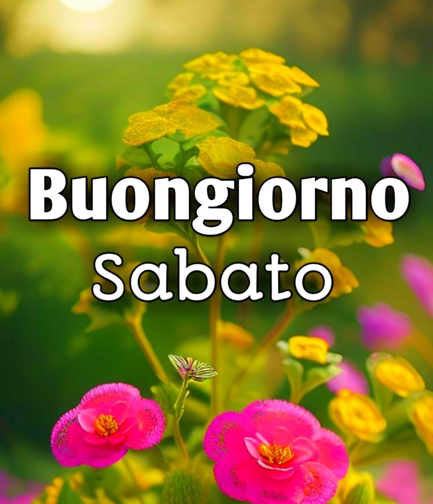 Buongiorno Felice Sabato