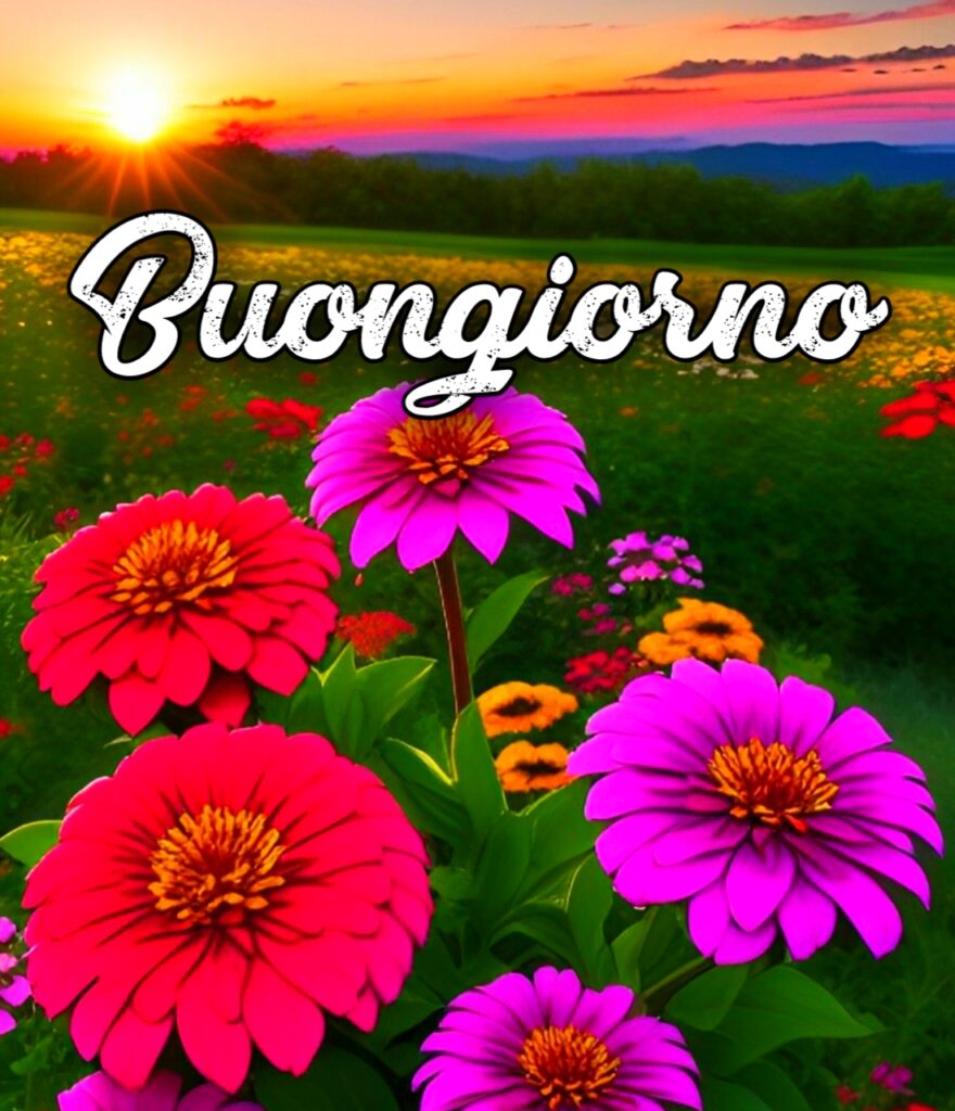 Buongiorno Immagini Nuove Gratis