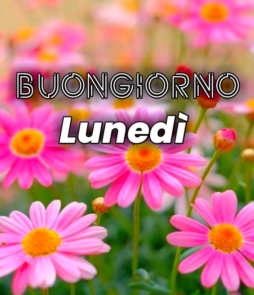 Buongiorno Lunedì