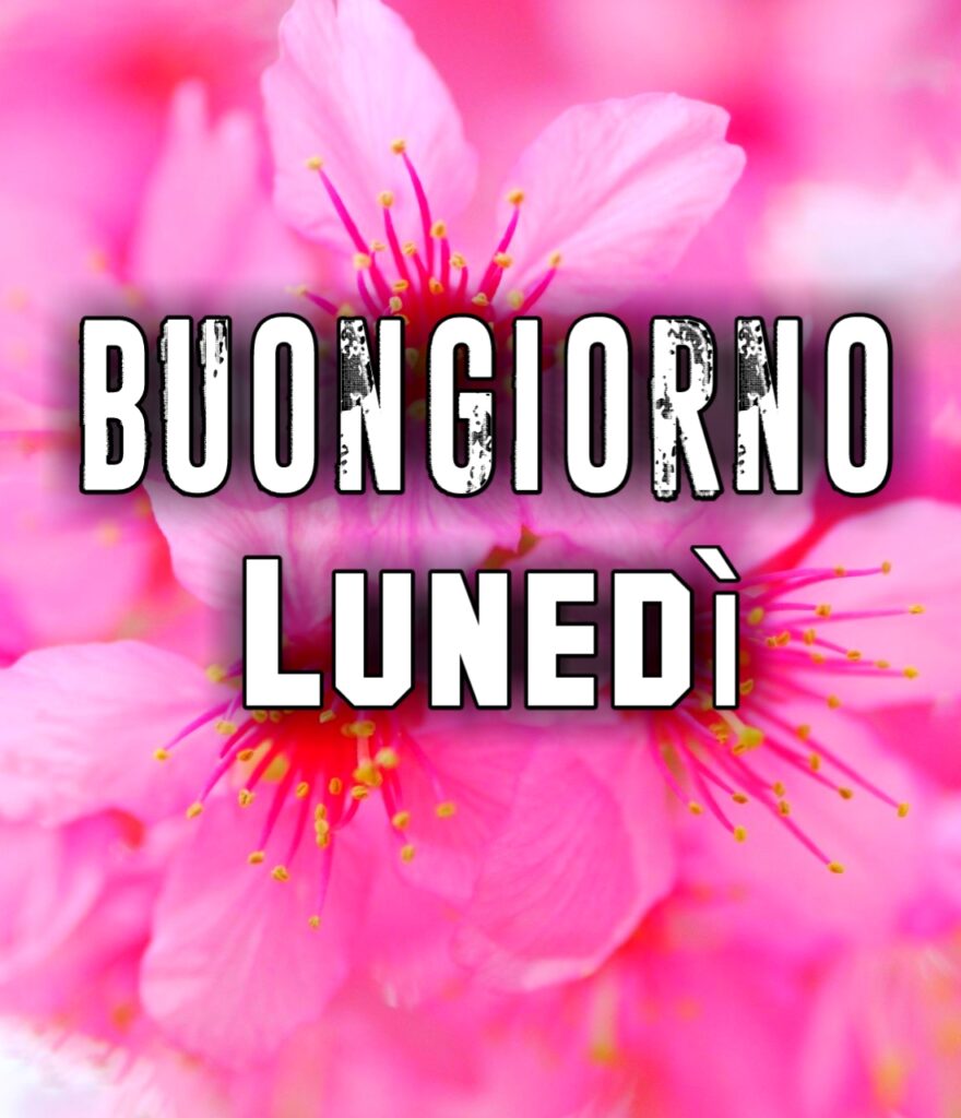 Buongiorno Lunedì Inizio Settimana