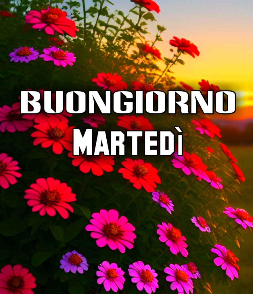 Buongiorno Martedì