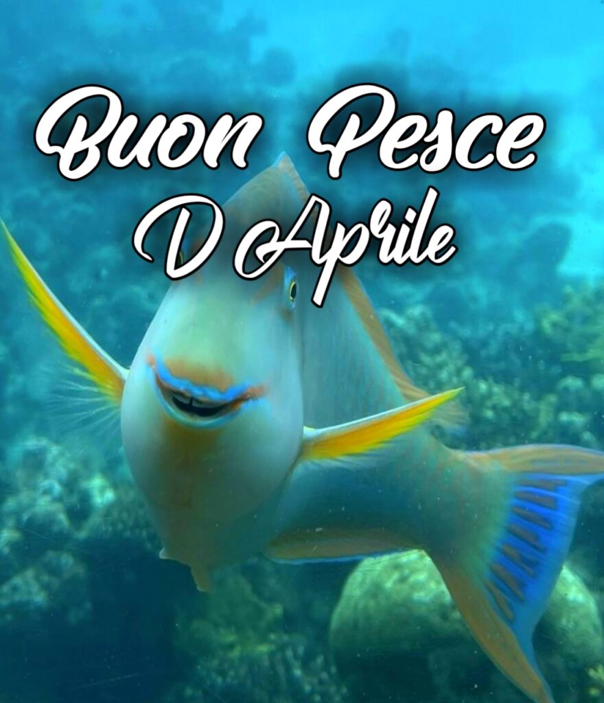 Buongiorno Pesce D'aprile