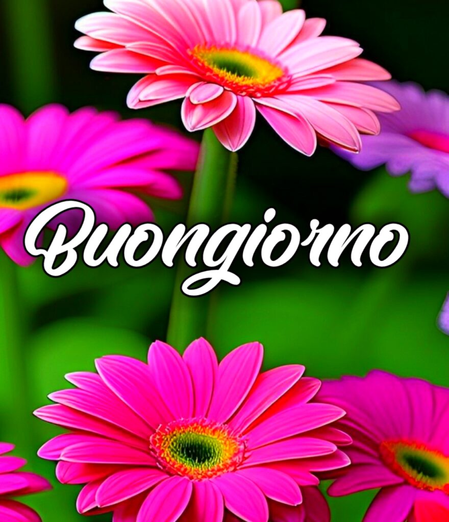 Buongiorno Sabato Immagini Nuove