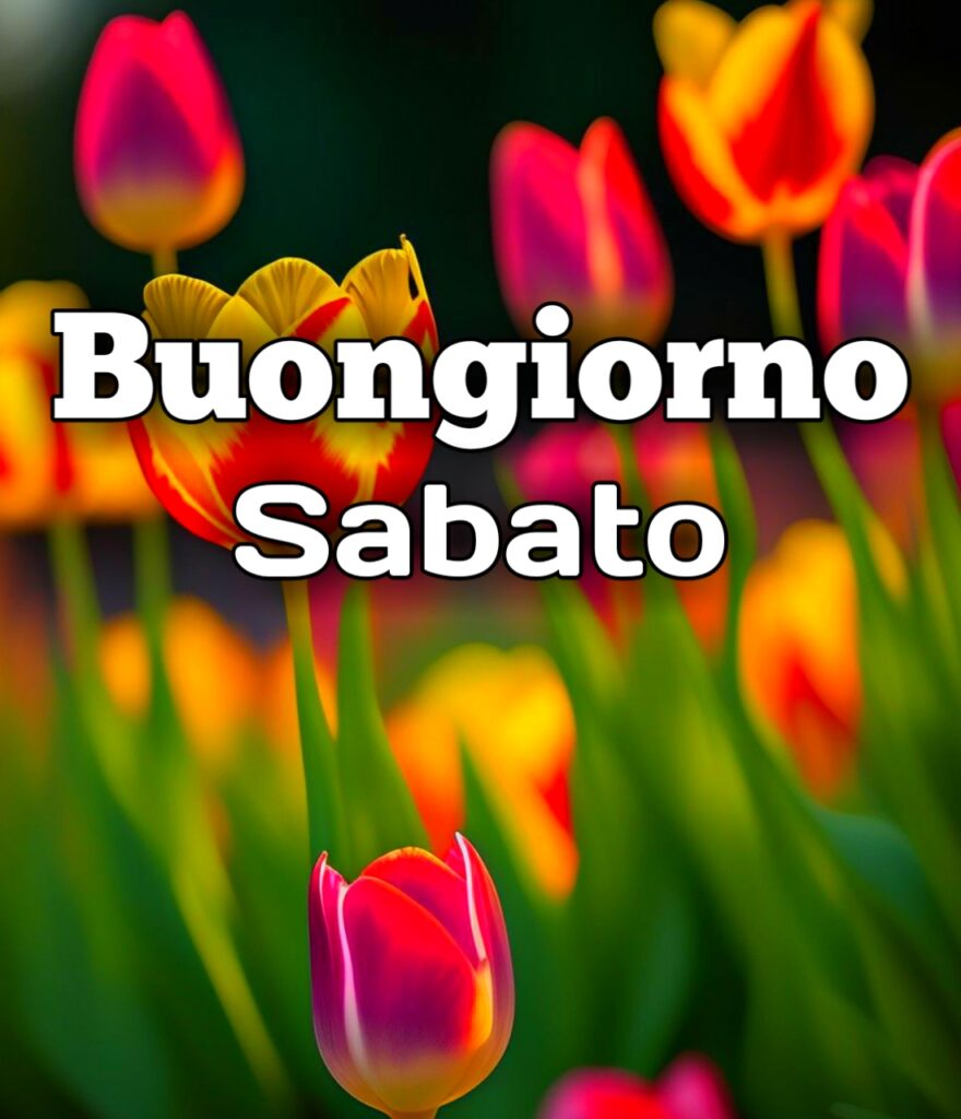 Buongiorno Sabato Immagini Nuove Gratis Per Whatsapp