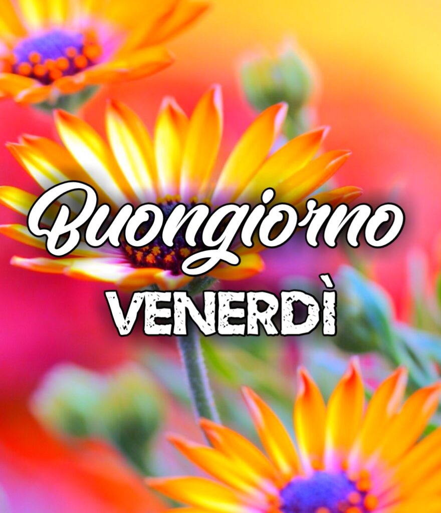 Buongiorno Venerdi Divertente