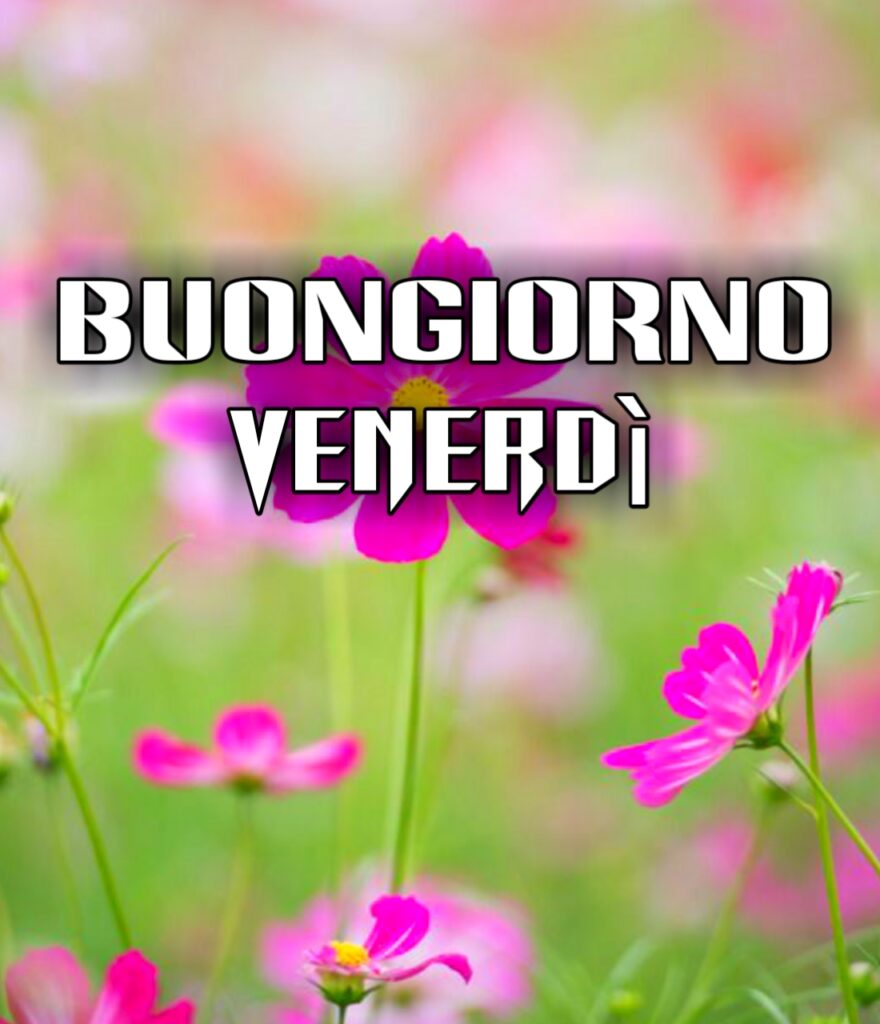 Buongiorno Venerdi Immagini