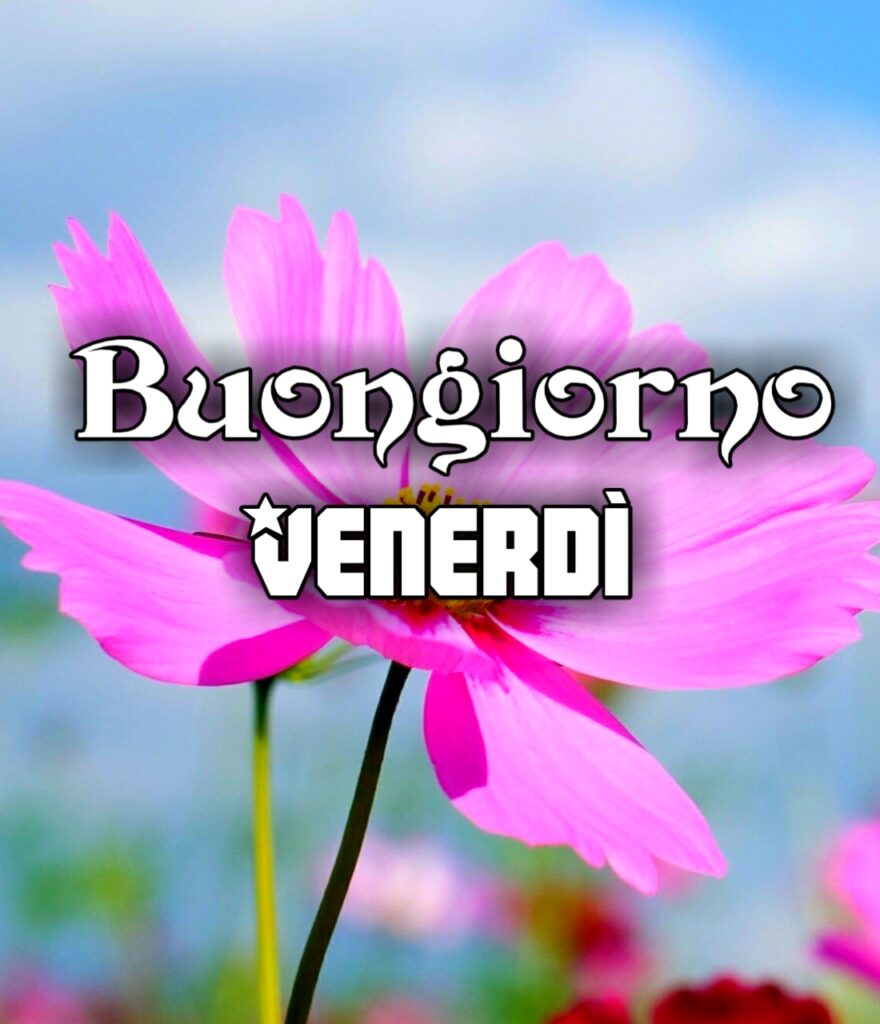 Buongiorno Venerdì Immagini