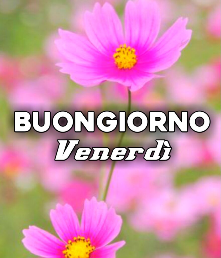 Buongiorno Venerdi Nuove Immagini