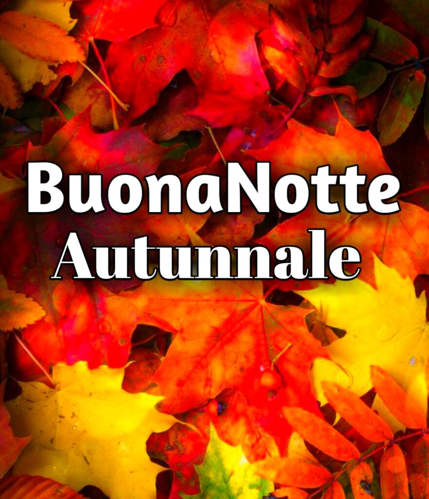 Cartoline Buonanotte