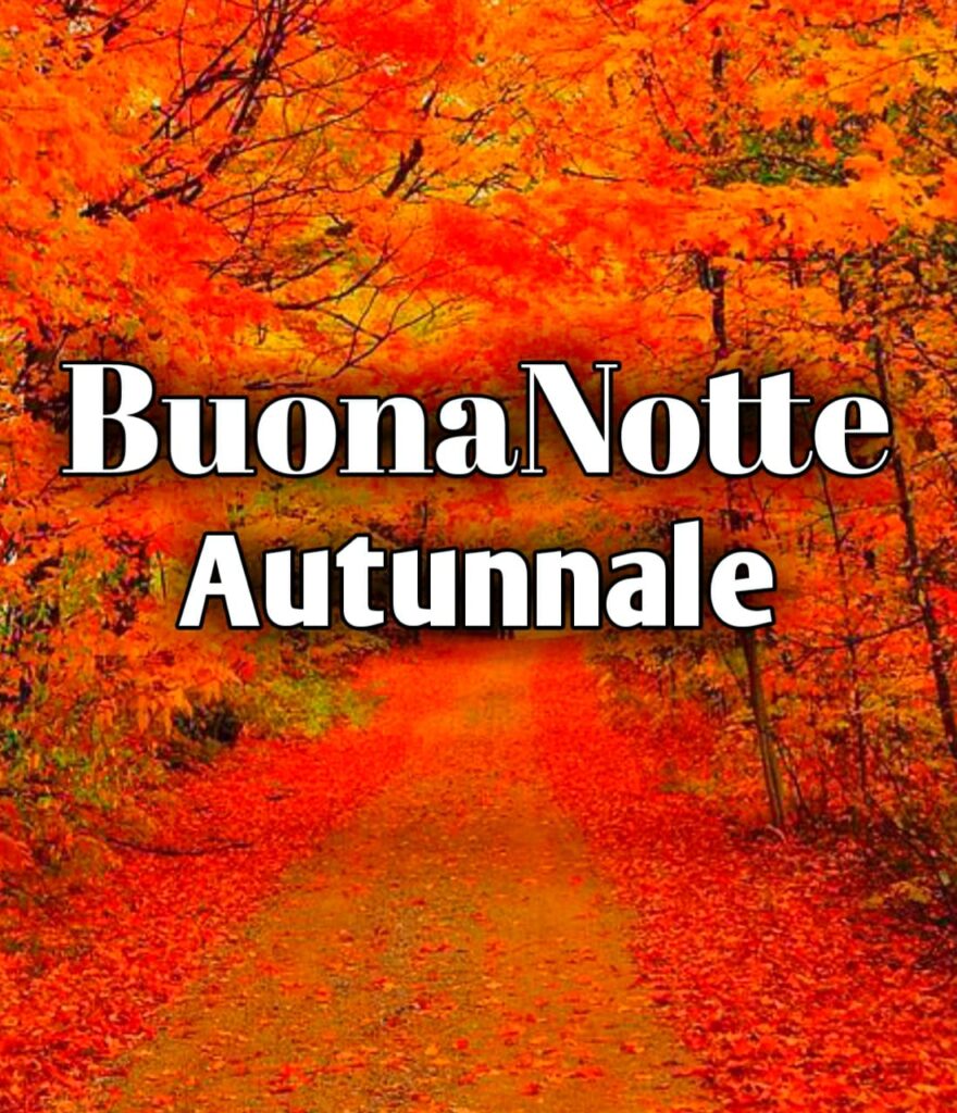 Cartoline Buonanotte Gratis