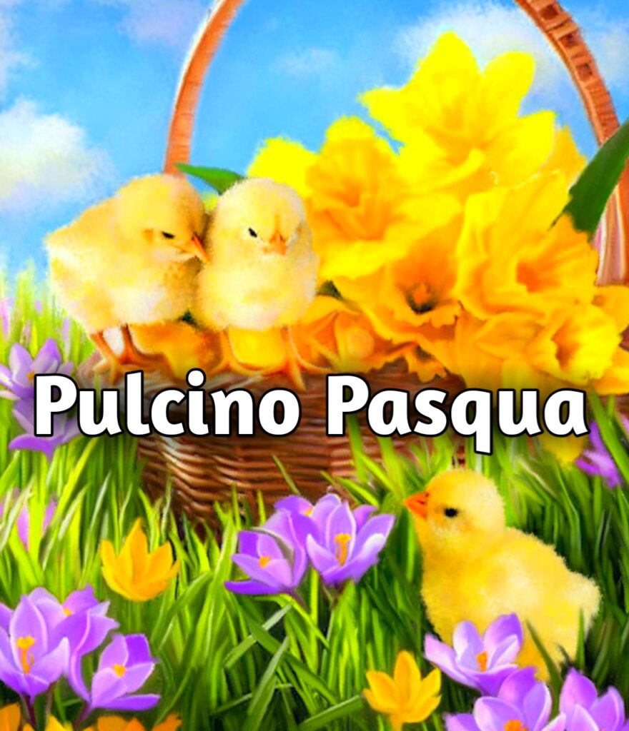 Dall'uovo Di Pasqua è Uscito Un Pulcino