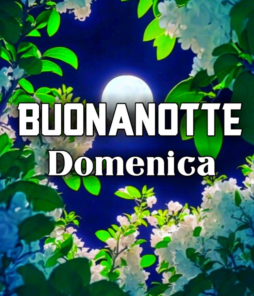 Divertente Buonanotte Domenica Finita