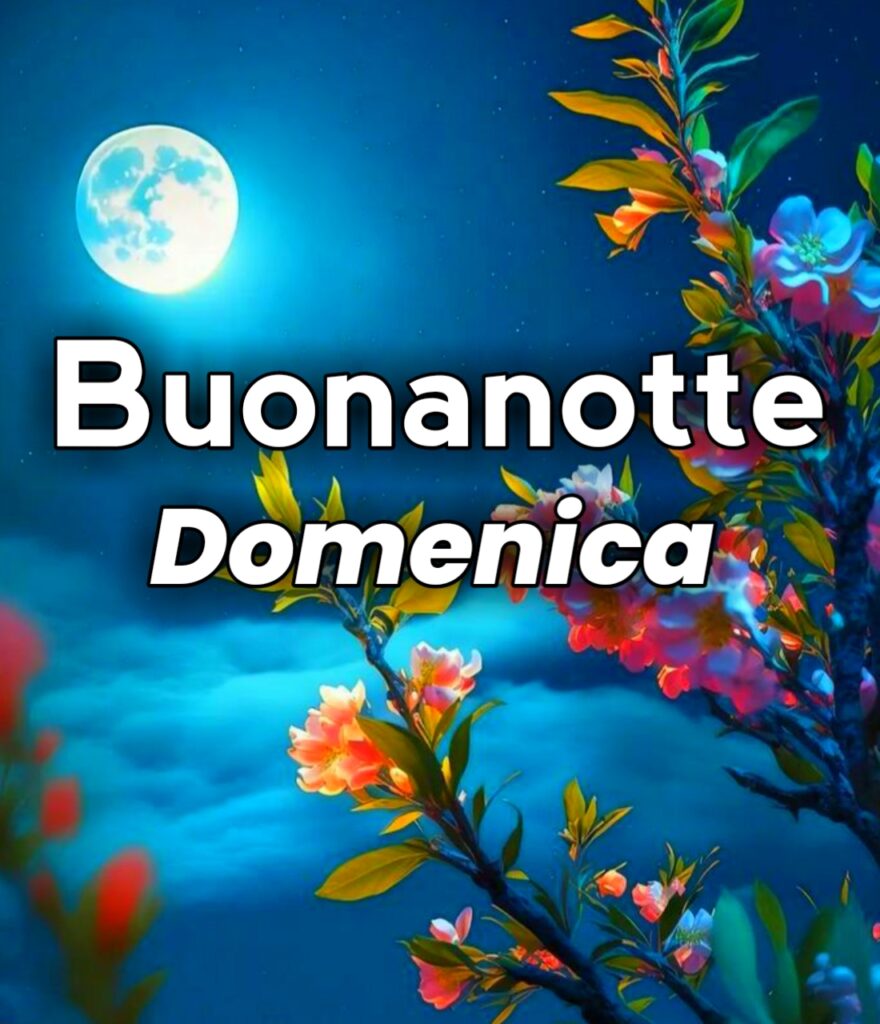 Domenica Finita Buonanotte