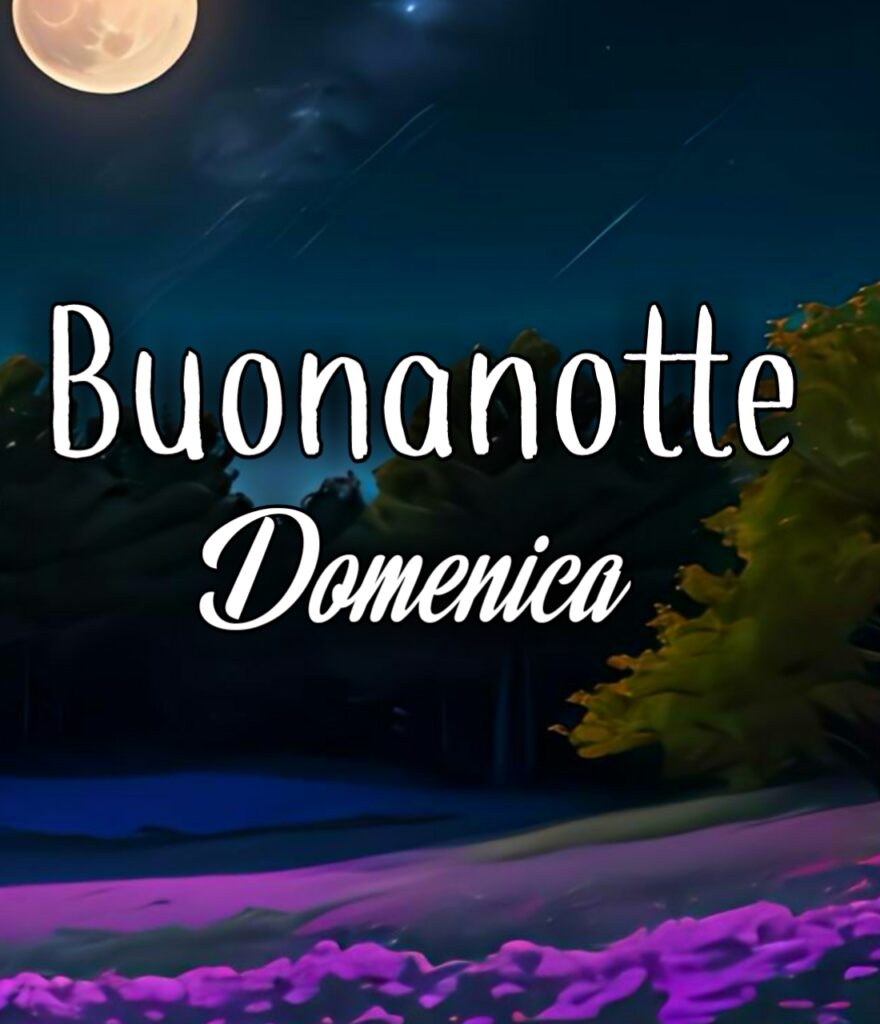 Domenica Finita Buonanotte Gif