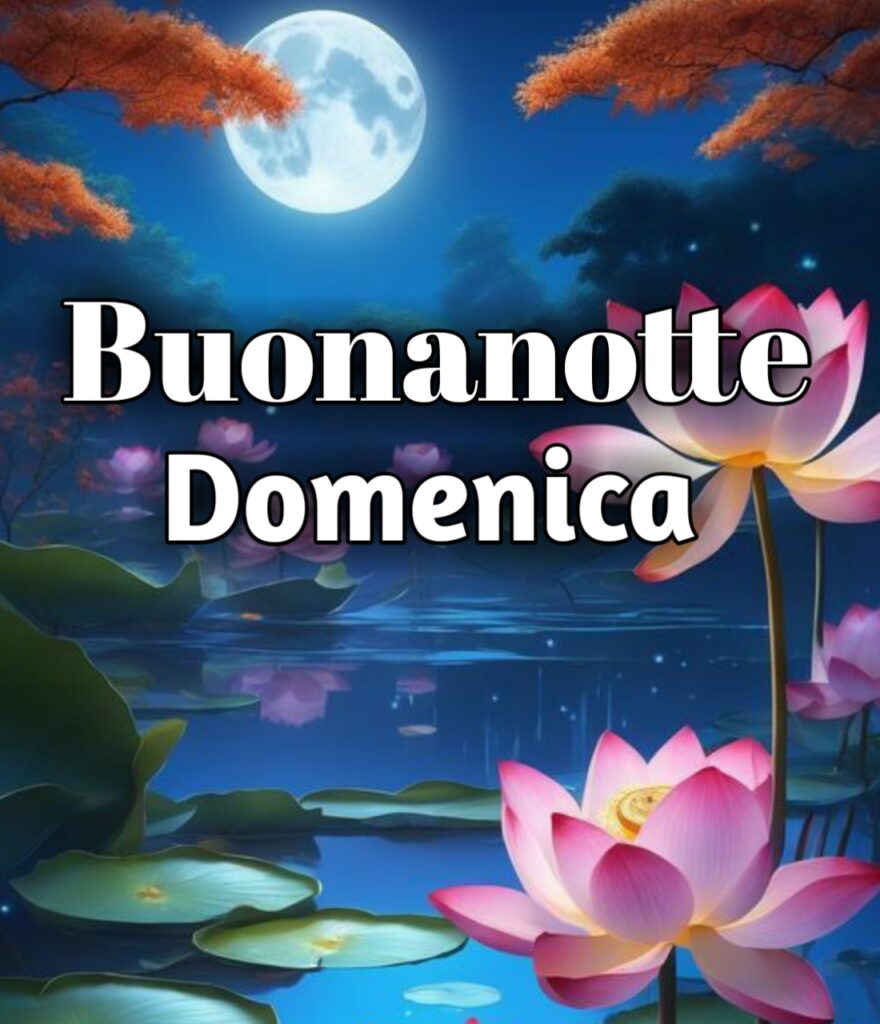 Domenica Terminata Buonanotte