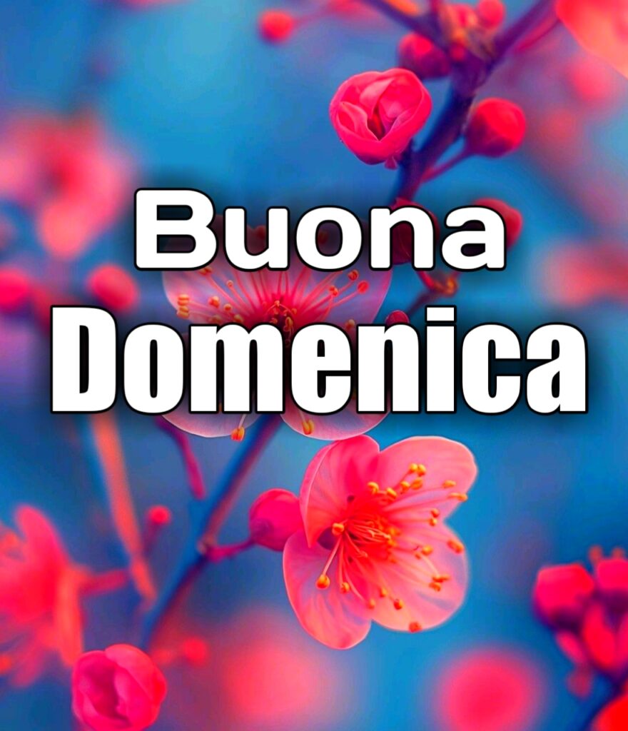 Felice Domenica