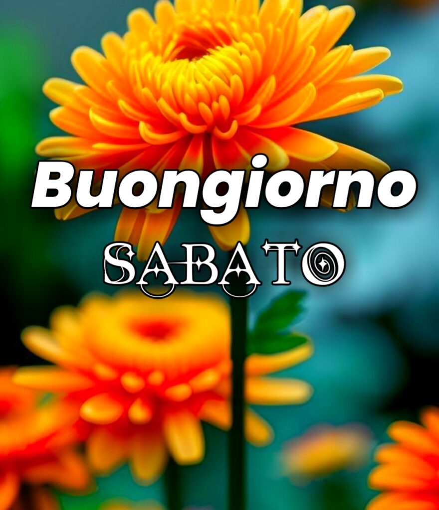 Felice Sabato Buongiorno