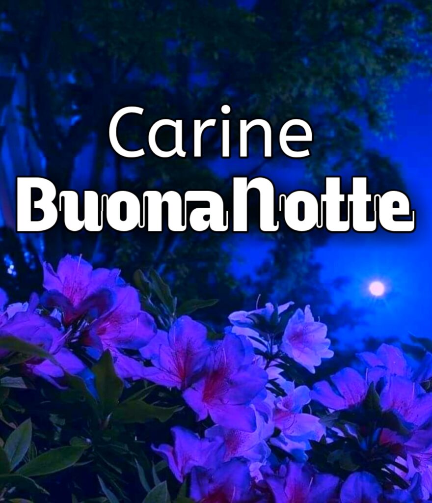 Foto Carine Della Buonanotte