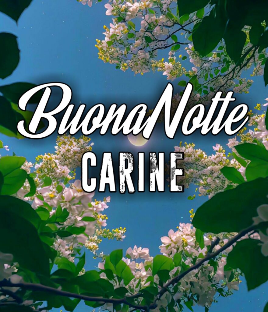 Frasi Carine Buonanotte