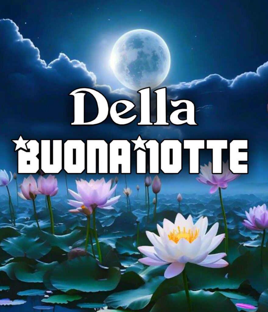 Frasi Della Buonanotte Con Immagini