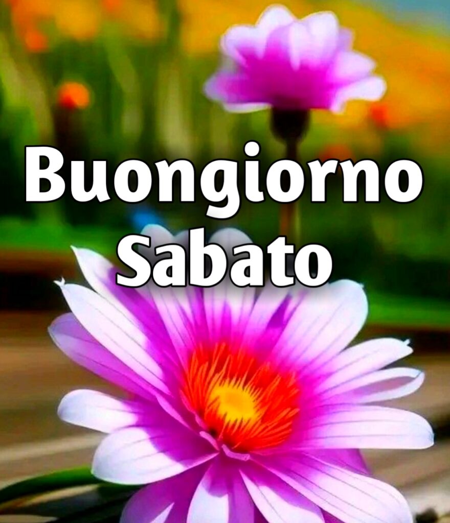 Immagine Buongiorno Buon Sabato