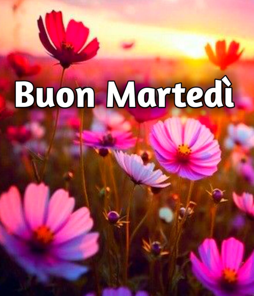 Immagini Bellissime Buon Martedì