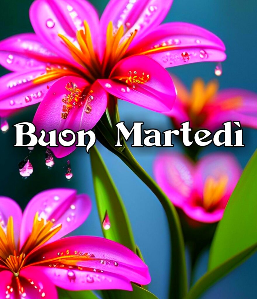 Immagini Bellissime Buon Martedì Immagini Nuove Gratis