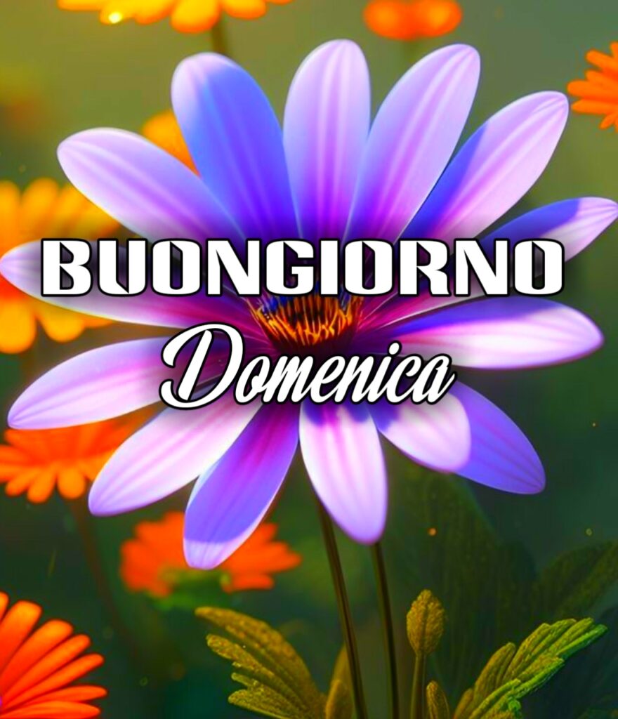 Immagini Bellissime Buongiorno E Buona Domenica