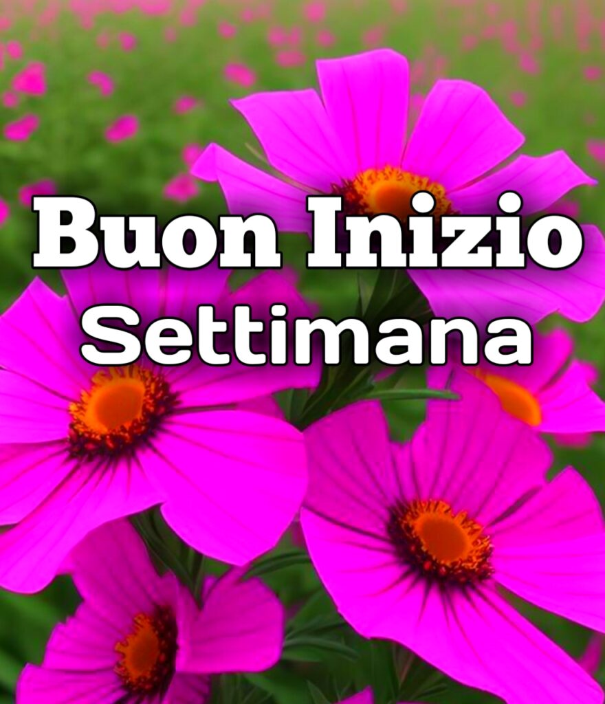 Immagini Buon Inizio Settimana