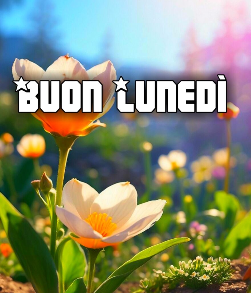 Immagini Buon Lunedì