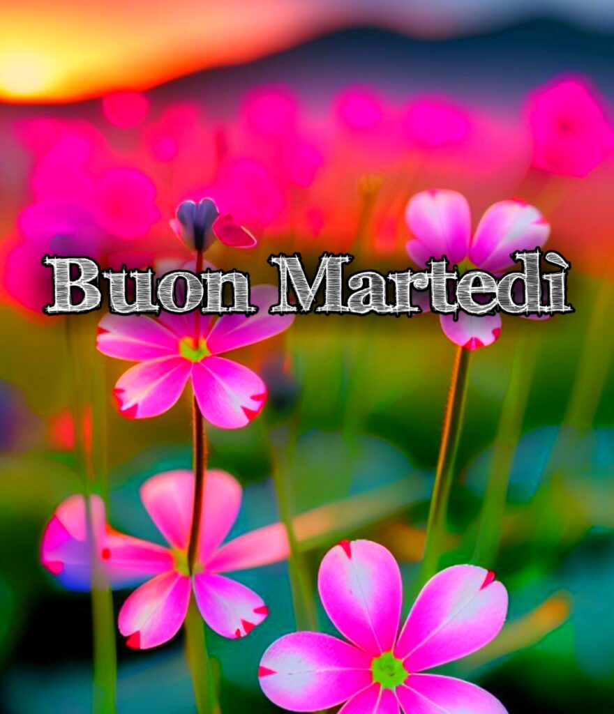 Immagini Buon Martedi