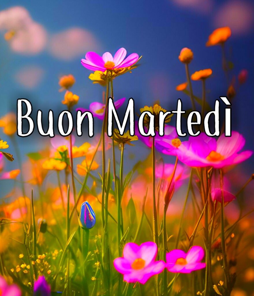 Immagini Buon Martedì