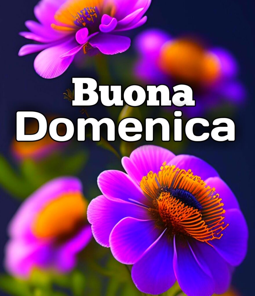 Immagini Buona Domenica Whatsapp