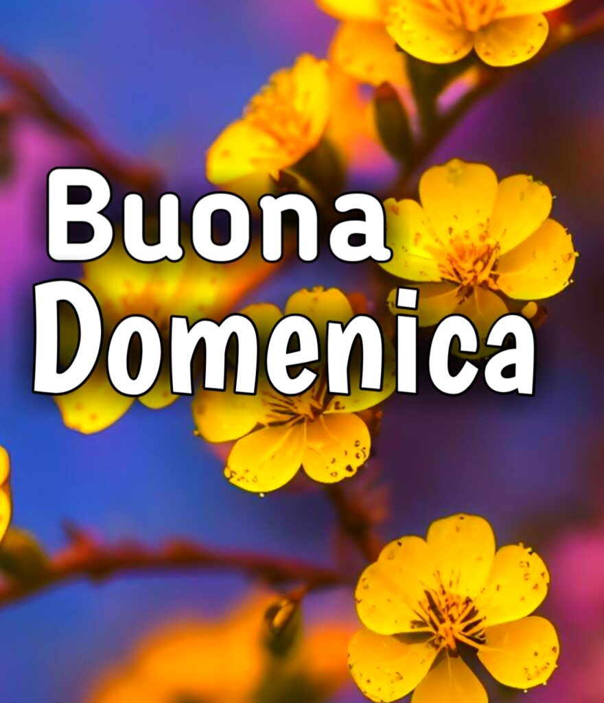 Immagini Buona Domenica Whatsapp Gratis