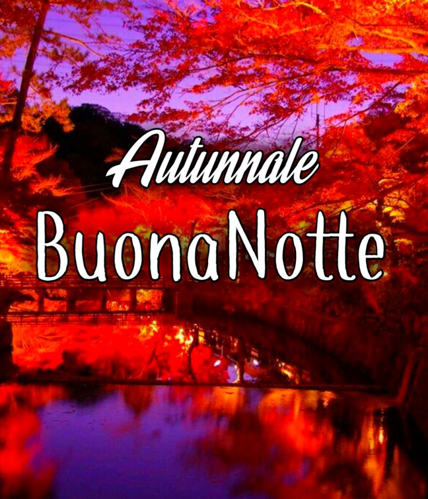 Immagini Buonanotte Nuove 2024